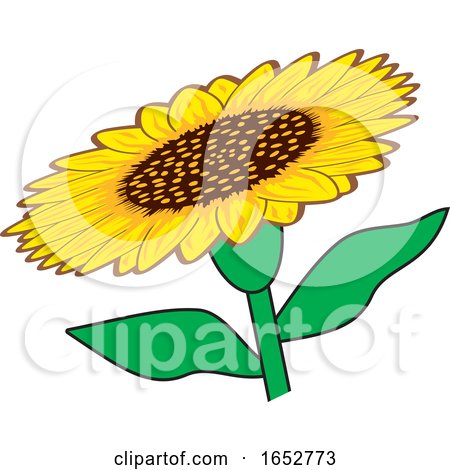Cartoon Sunflower by Johnny Sajem