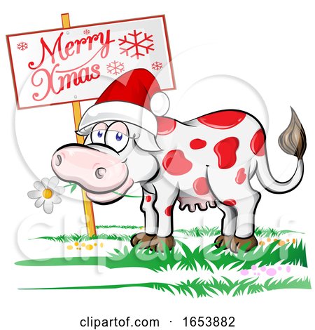 Cartoon Happy Black and White Holstein Dairy Cow with a Christmas Sign by Domenico Condello