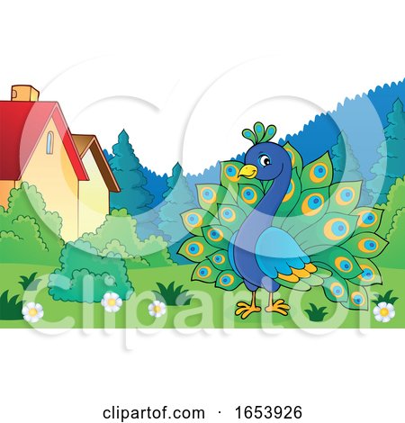 Cute Peacock Bird in a Park by visekart