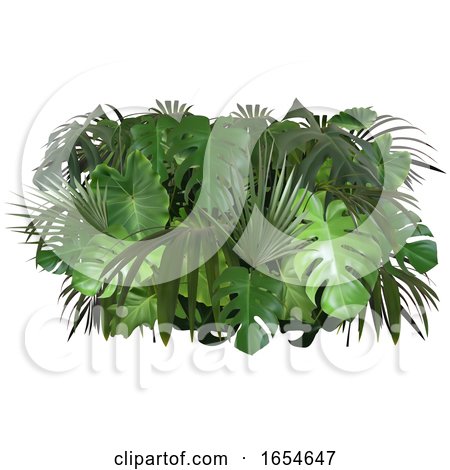 Tropical Leaves by dero