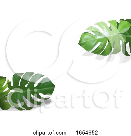 3d Tropical Foliage Backdrop by dero