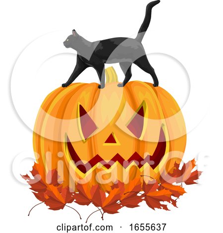 Vector of Black Cat on Pumpkin with Autumn Leaves by Morphart Creations