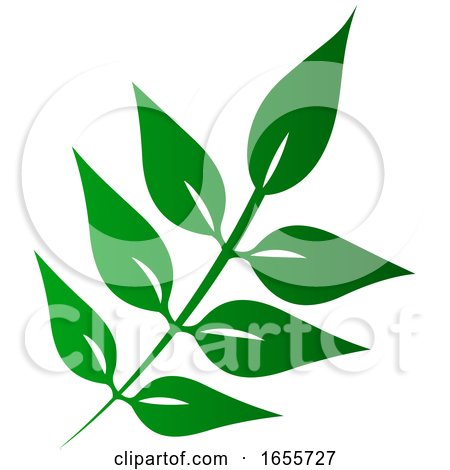 Green Leaf by Vector Tradition SM