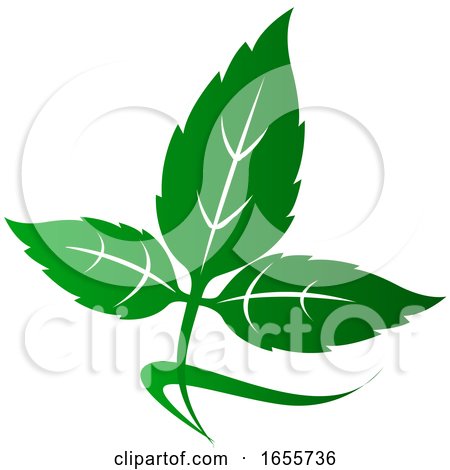 Green Leaf by Vector Tradition SM