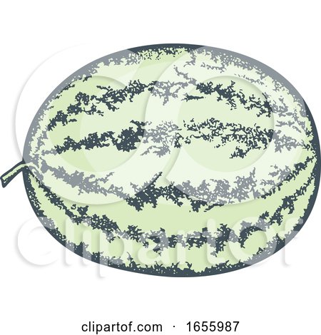 Sketched Green Watermelon by Any Vector