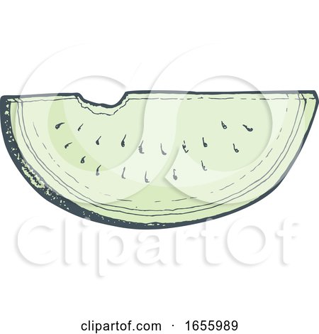 Sketched Green Watermelon Wedge by Any Vector