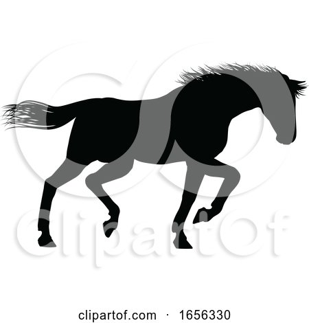Horse Silhouette Animal by AtStockIllustration