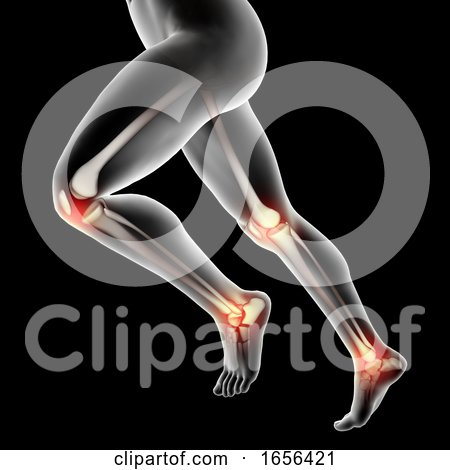 3D Male Medical Figure with Knees and Ankles Highlighted by KJ Pargeter