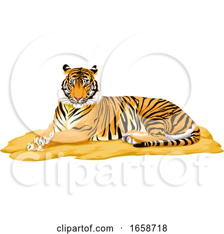 Resting Tiger by Morphart Creations