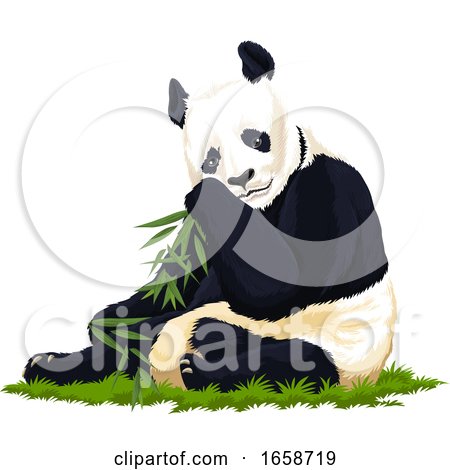 Panda Eating Bamboo by Morphart Creations