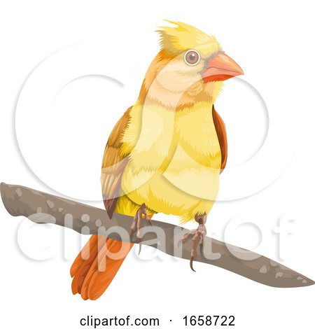 Yellow Bird by Morphart Creations
