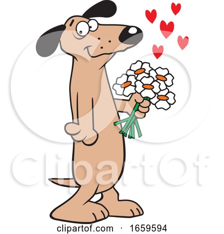 Cartoon Romantic Dachshund Dog Holding Flowers by Johnny Sajem