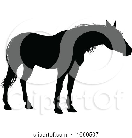 Horse Animal Silhouette by AtStockIllustration
