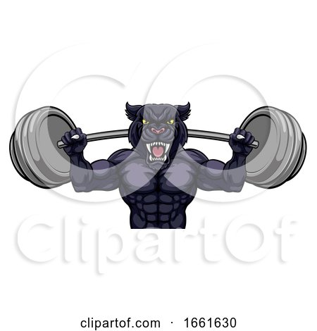 Panther Mascot Weight Lifting Body Builder by AtStockIllustration