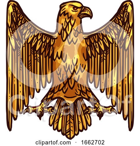 Golden Eagle by Vector Tradition SM