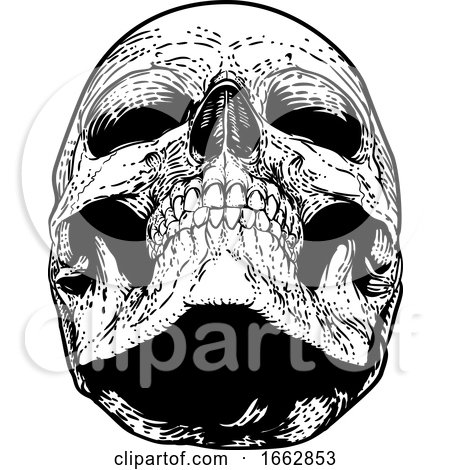 Skull Grim Reaper Vintage Woodcut Illustration by AtStockIllustration
