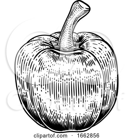 Bell Pepper Woodcut Vegetable Illustration by AtStockIllustration