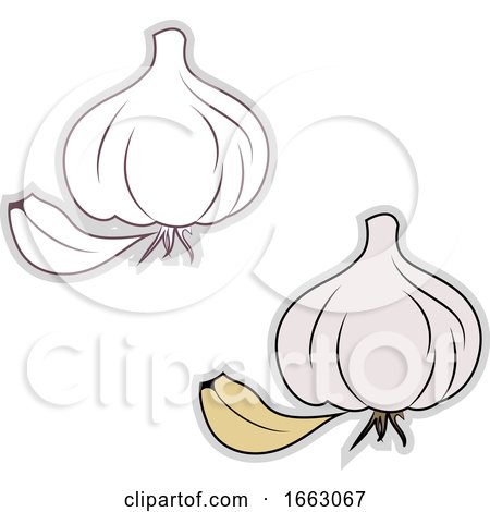 Fresh Garlic by Morphart Creations