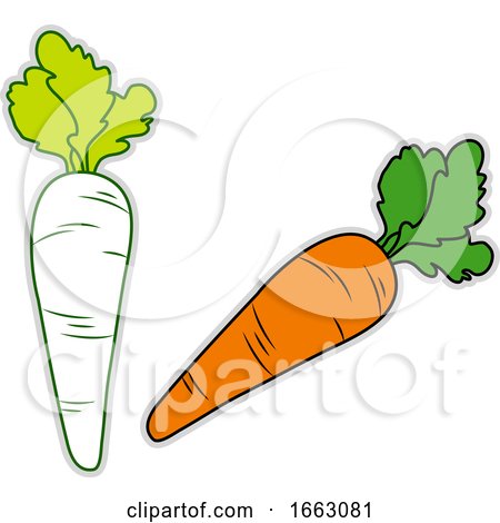 Fresh Carrot by Morphart Creations