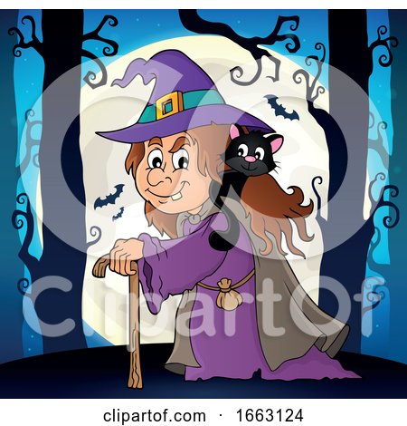 Halloween Witch with a Cat on Her Shoulder by visekart