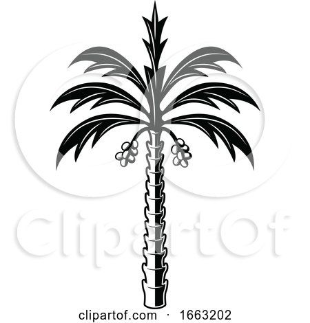 Black and White Egyptian Palm Tree by Vector Tradition SM