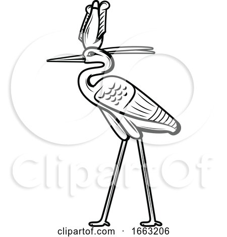 Black and White Egyptian Heron by Vector Tradition SM