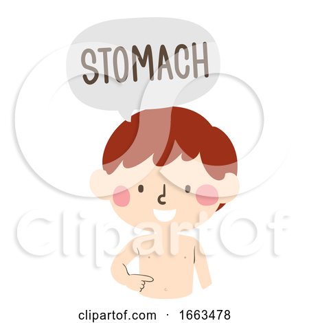 Kid Boy Naming Body Parts Stomach Illustration by BNP Design Studio