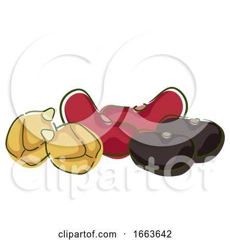 Beans Superfood Illustration by BNP Design Studio