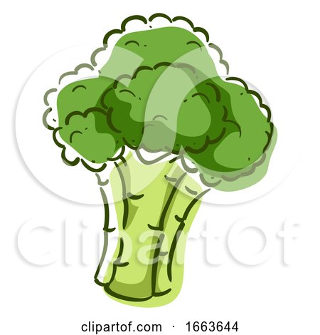 Broccoli Superfood Illustration by BNP Design Studio