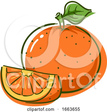 Orange Superfood Illustration by BNP Design Studio