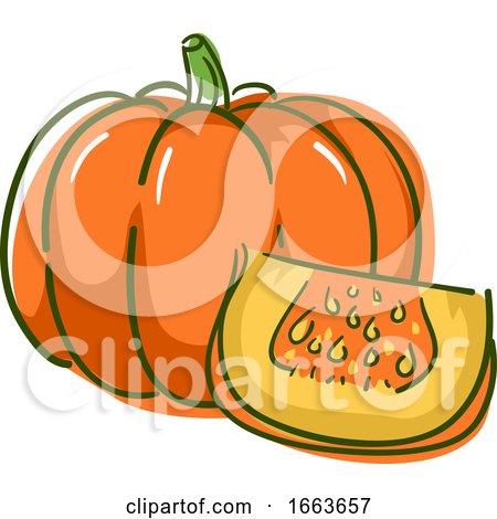Pumpkin Superfood Illustration by BNP Design Studio