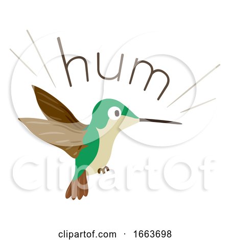 Hummingbird Sound Hum Illustration by BNP Design Studio