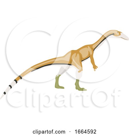 Coelophysis by Morphart Creations