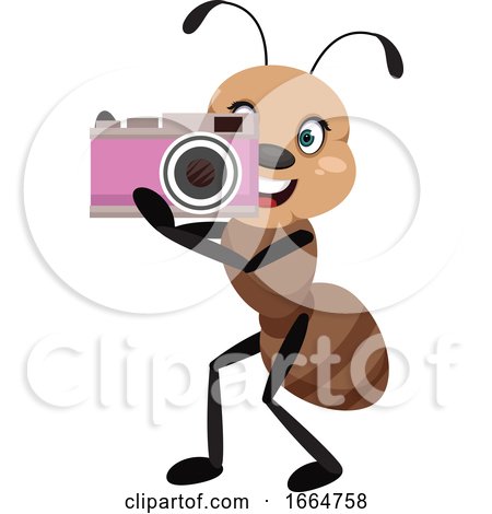Ant with Camera by Morphart Creations