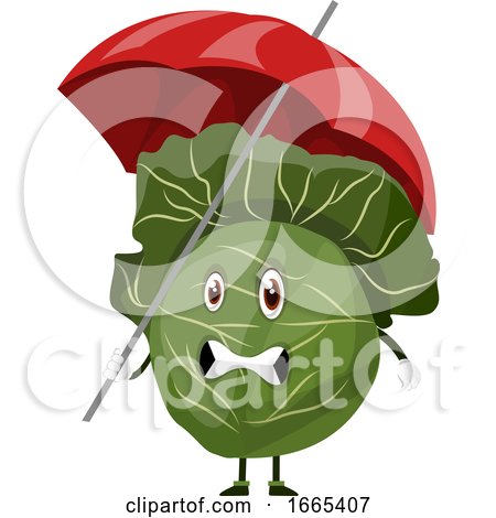 Cabbage with an Umbrella by Morphart Creations