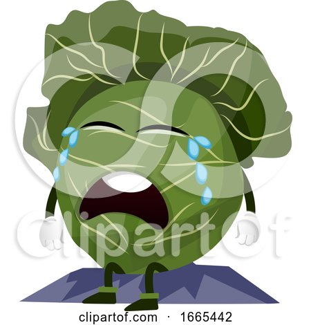 Crying Cabbage by Morphart Creations