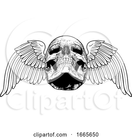 Winged Skull Vintage Woodcut Illustration by AtStockIllustration