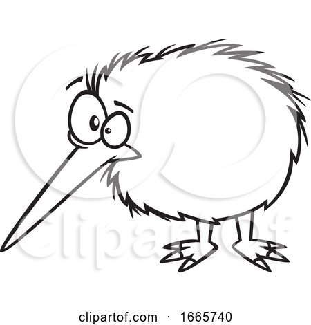 Cartoon Black and White Kiwi Bird by toonaday
