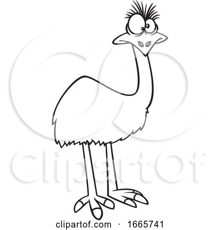 Cartoon Black and White Emu Bird by toonaday #1665741