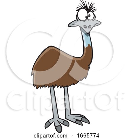 Cartoon Emu Bird by toonaday #1665774