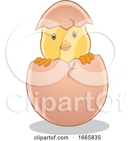 Hatching Easter Chick by cidepix