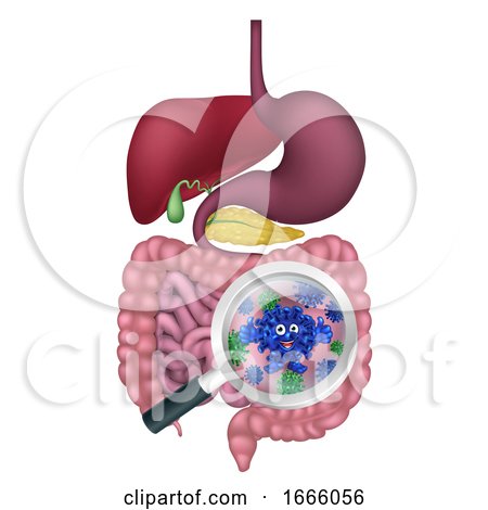 Bacteria Cartoon Mascot in Gut or Intestines by AtStockIllustration