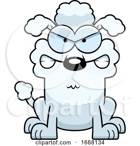 Cartoon Mad White Poodle Dog by Cory Thoman