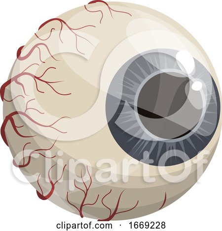 Eyeball by Vector Tradition SM