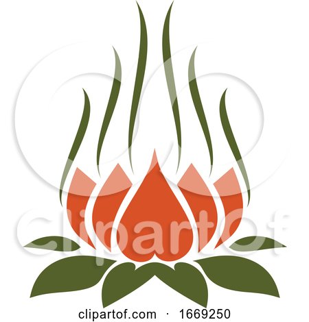 Indian Lotus Flower by Vector Tradition SM