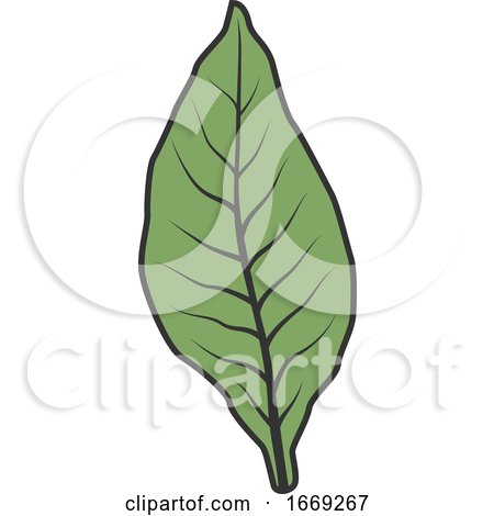 Tobacco Leaf by Vector Tradition SM