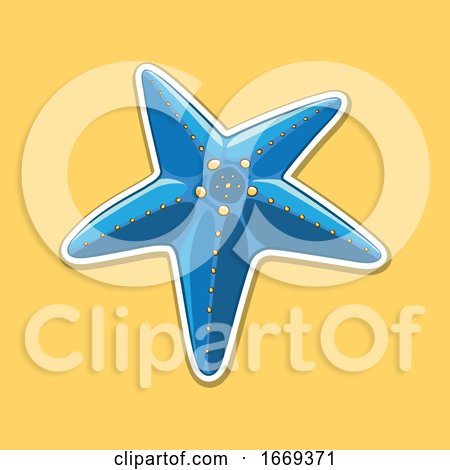 Blue Starfish by cidepix