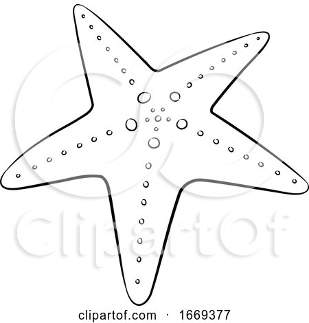Black and White Starfish by cidepix