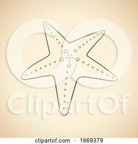 Starfish by cidepix