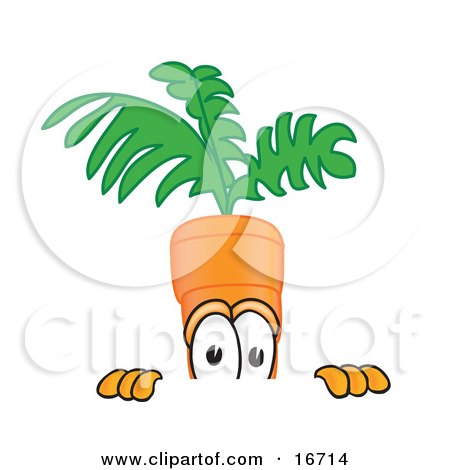 Clipart Picture of an Orange Carrot Mascot Cartoon Character Nervously Peeking Over a Surface by Mascot Junction